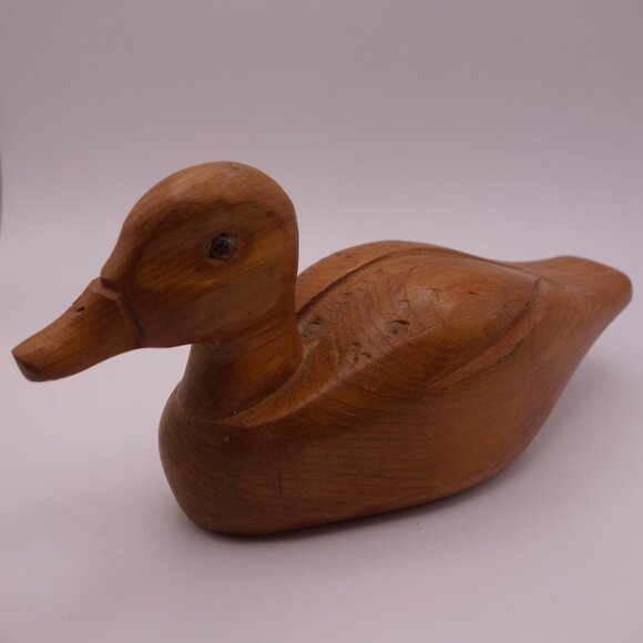 Wood Duck - Picture 3 of 16